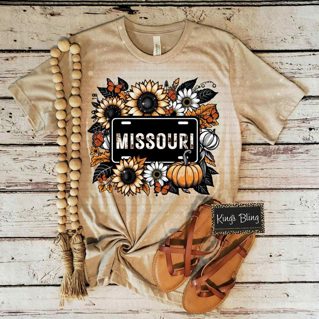 Fall Missouri