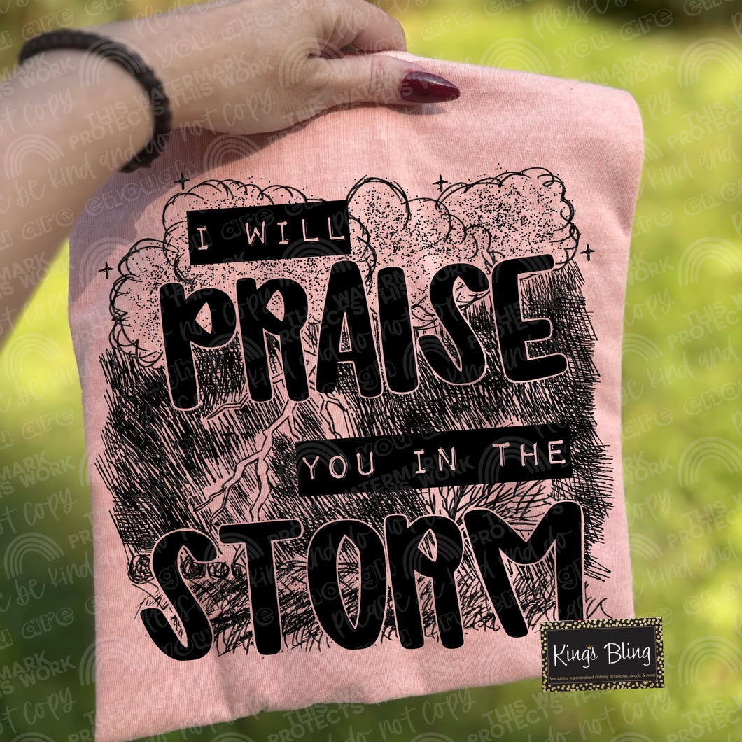 I Will Praise You in the Storm