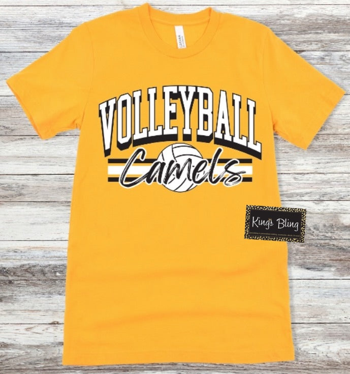 Volleyball - Camels